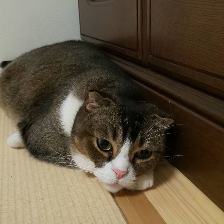 A1115905 d339 4950 b1cf 8435d2d2628a 1591281494292