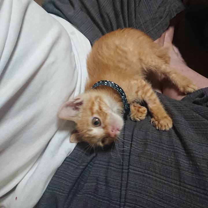 A1117704 9abf 44ae 9da5 7d1cd7704c1c 1627905627887