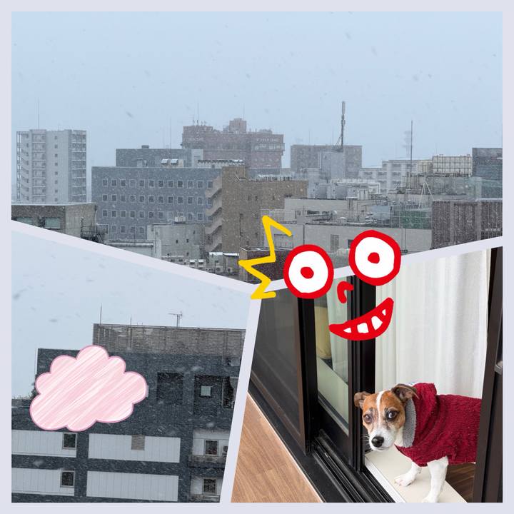 A111a452 86bd 4f7f ba62 ae637542341e 1766703623911