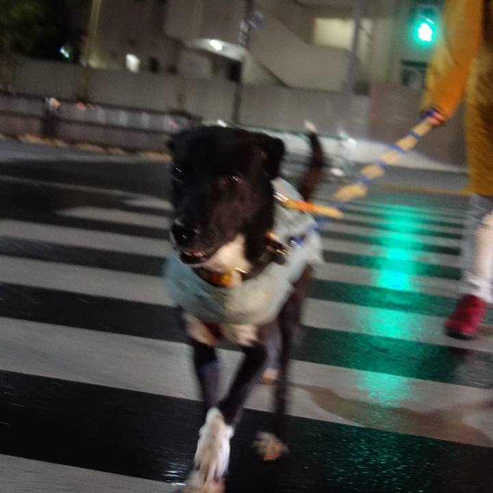 A111f6d8 1aac 4241 8b93 0d72755244d3 1585399277404