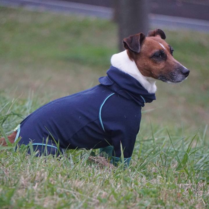 A1120ac8 6d1e 4b8e a10e 2dd677043ebb 1541979658196