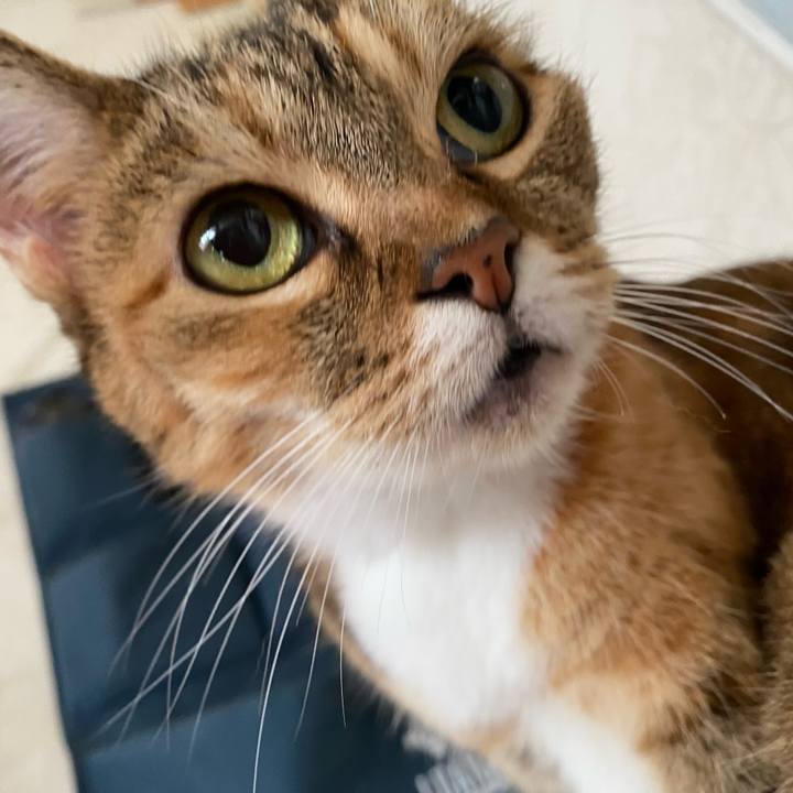 A1123482 8251 4bfc adfe 0f62353405c1 1630904267765