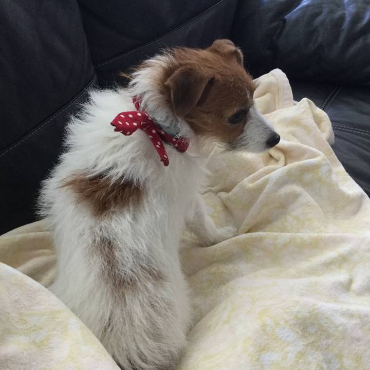 A1125082 bfbc 4f64 8898 989a75599d8f 1575774900820