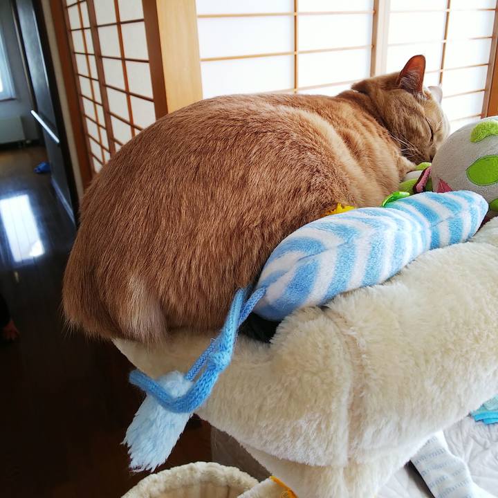 A1125a54 3152 47a9 ace5 7c2a968be954 1588989007749