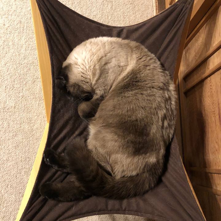 A112933e edff 4675 835f cb064df558d6 1608982346218