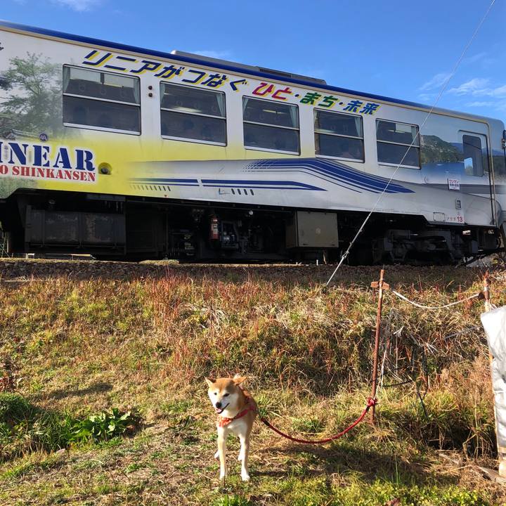 A113b3fb 13bc 4ebb 855f d6fb5ea6c214 1544346433651