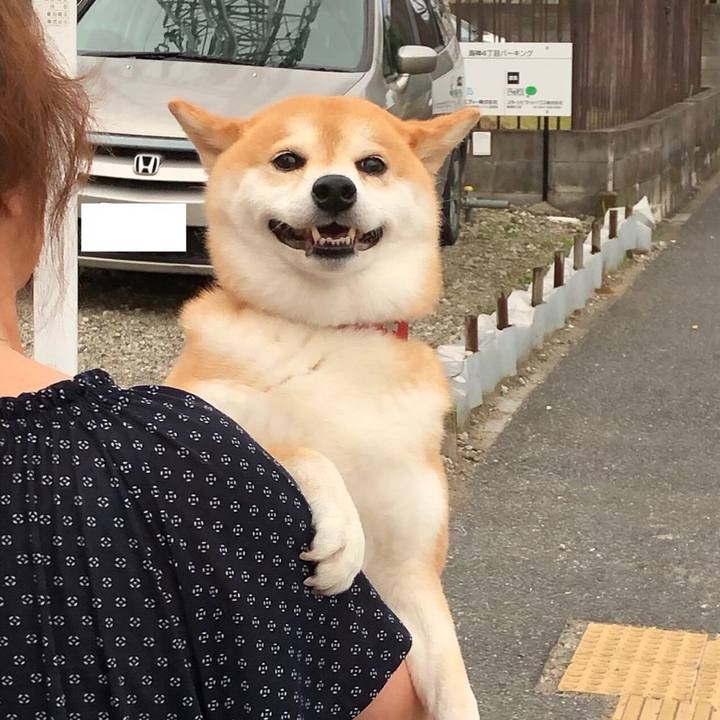 A113bb9d 3635 430b 9edb 2ae08efb7266 1564180160626