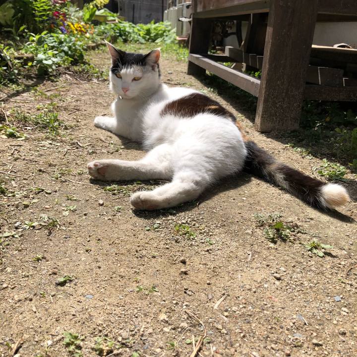 A113d3ce 06f4 4ab6 98e6 8d524b11b7f6 1617168751347