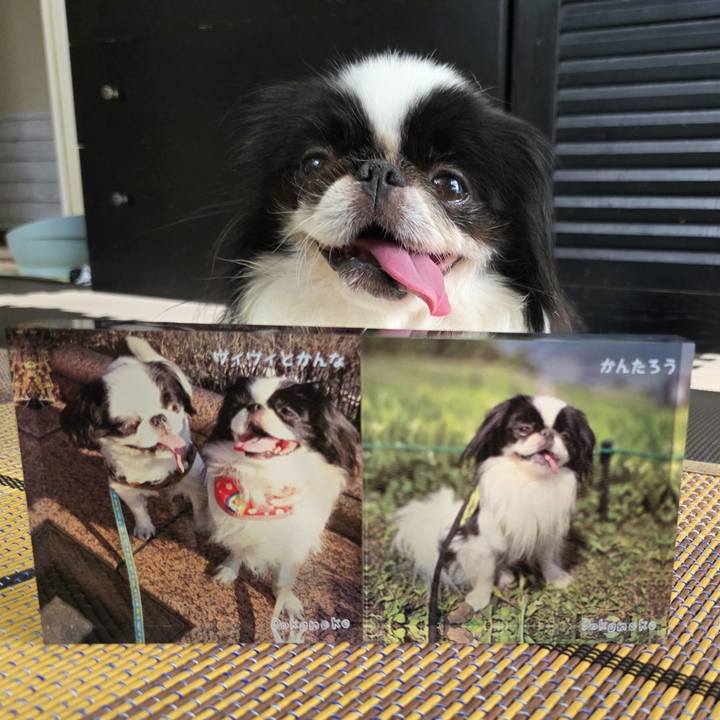 A113e0f8 720e 44f1 a519 3ca6c69d6ec8 1751686585294