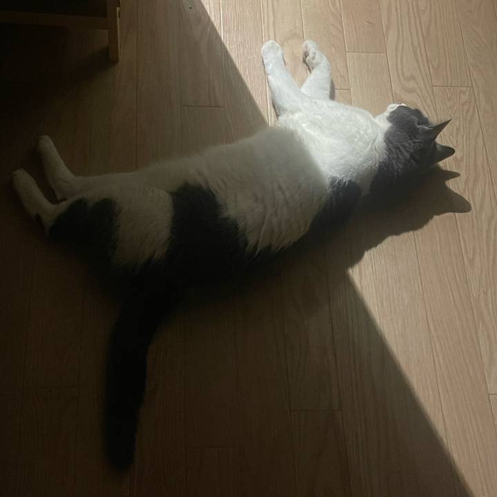 A1143791 b02c 4ec3 aac4 2fbc7b1408c9 1719246125389