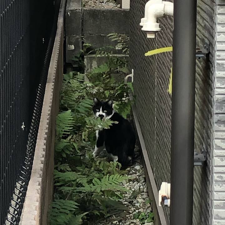 A1146da3 820c 4ddf 8bc7 0116eafc3cfb 1649601587264