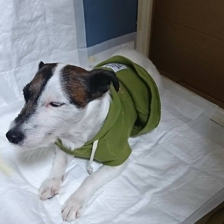 A114bb5f 0424 456e 81e9 ca1f9d505bfc 1521382051864