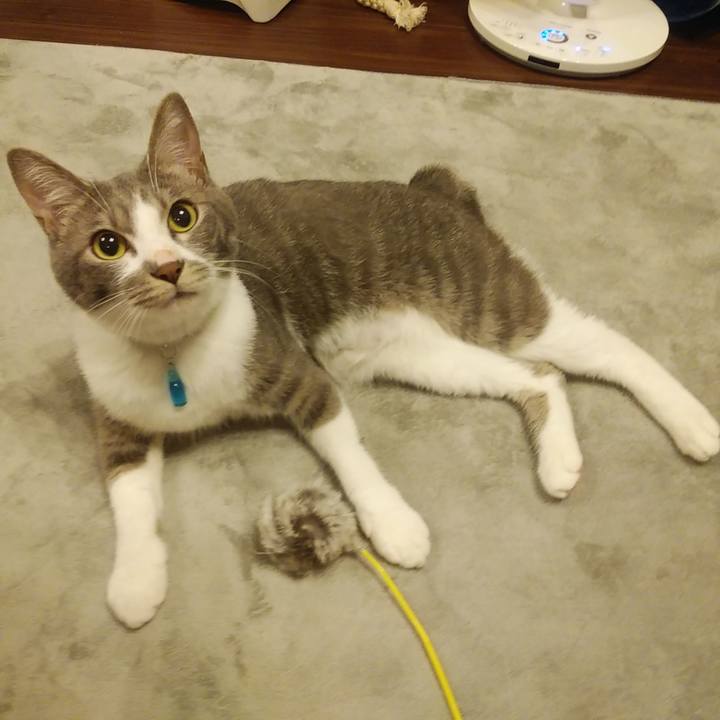 A114f1a7 4b76 4f8d 9bbe 63dfe95688a7 1591187230551