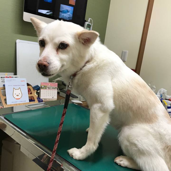 A114ff02 b254 4028 8f70 e5207ed57a89 1583323278460