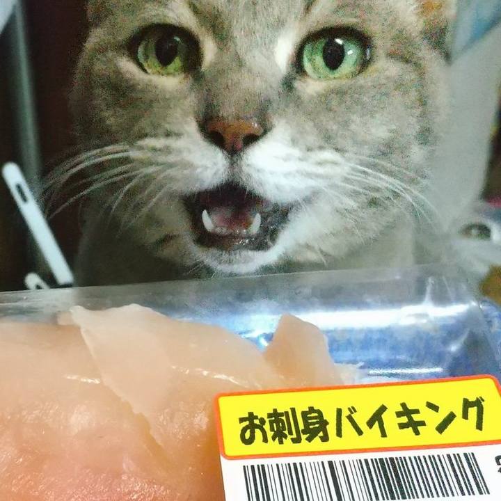 A1150f12 bac3 4f87 a399 c73d7cf31a95 1638086277066