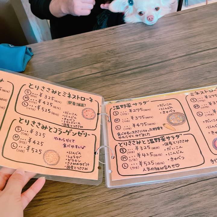 A1151d85 40fe 4c22 ba1b ef5d84879101 1669284780249