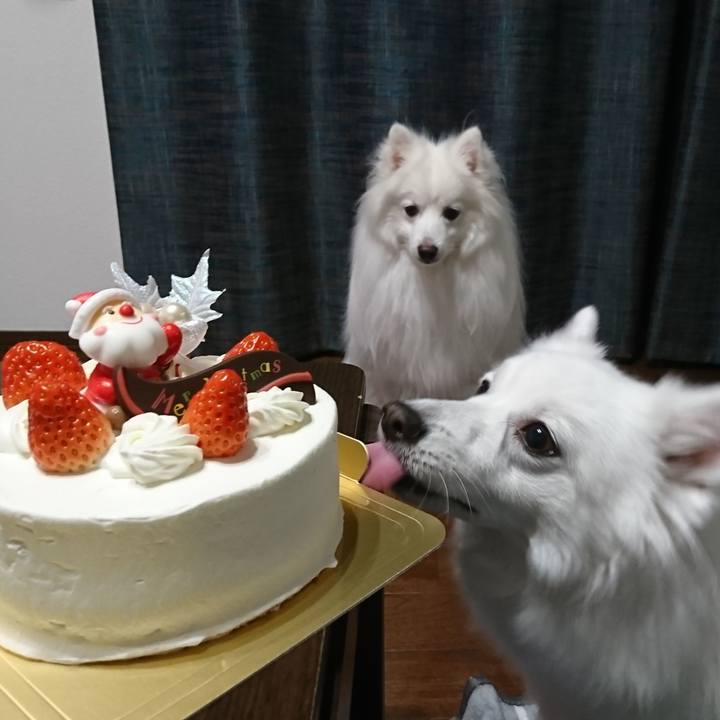 A1152c57 c21c 49a3 80f1 862a0337e050 1608900690709