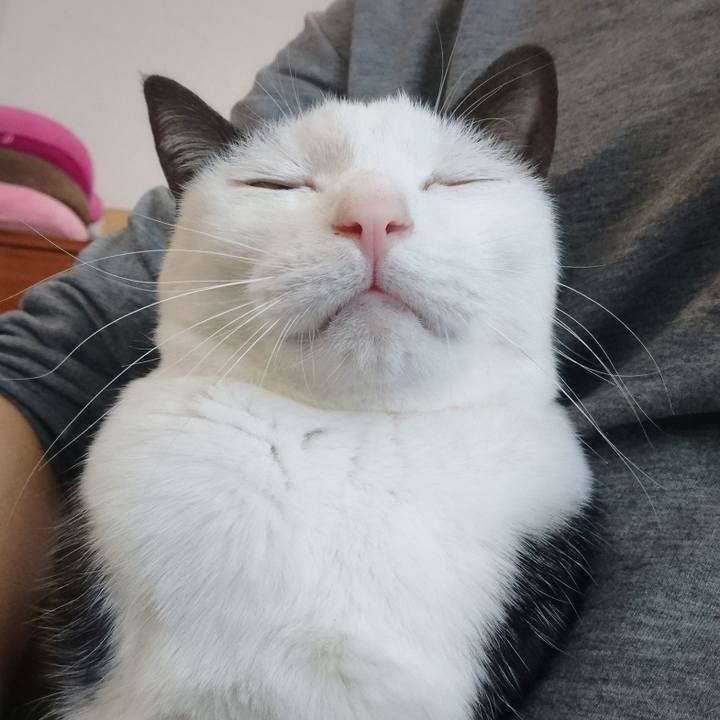 A1153389 b760 4224 98cf d45aedabf8bc 1556347259366