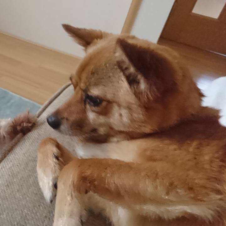 A11542a4 44e7 497c a3b5 4ade98088018 1530797379072