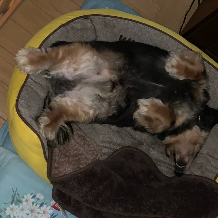 A11549f2 7e98 4d9f bbf4 bb12625e1edb 1589919763734