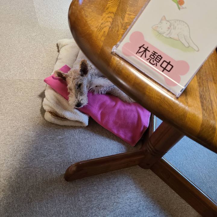 A1154c6b 042d 427a 889c 4860ffb7be5c 1668118405860