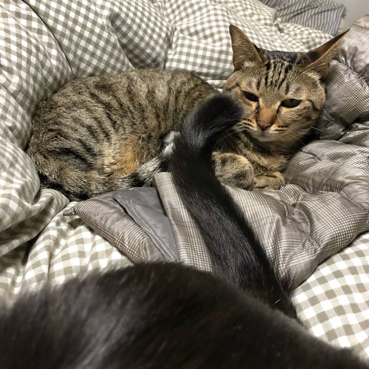 A1155630 3e9d 4bed a04c 13e852d36c45 1551180216793