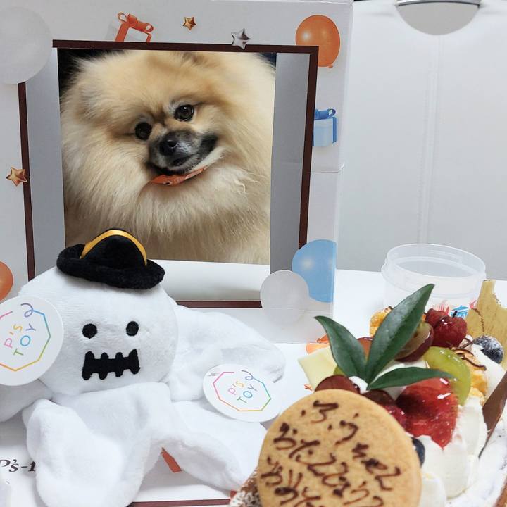 A115624f 6875 405e b7c0 a8fef45a4777 1728393795987