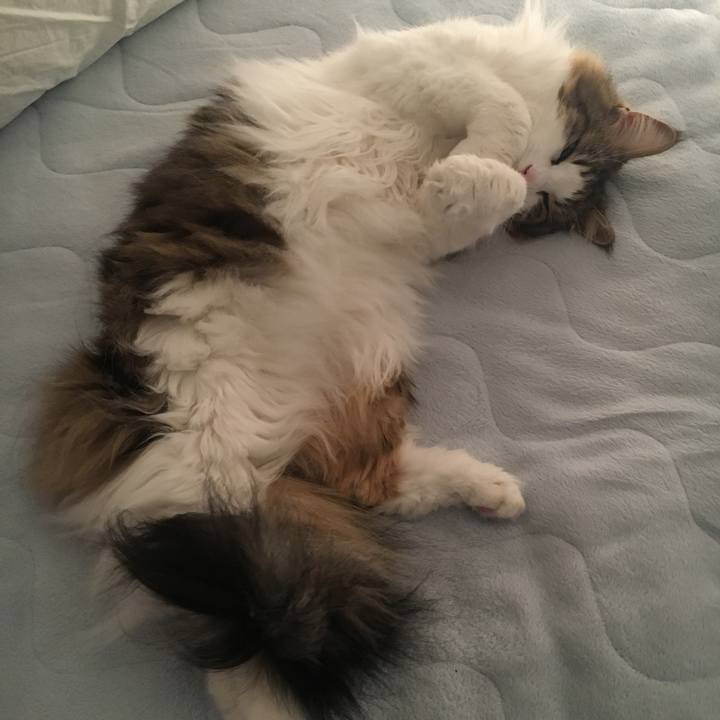 A1157b1d 84c3 4d6e a498 37f4f2e06301 1580889059980