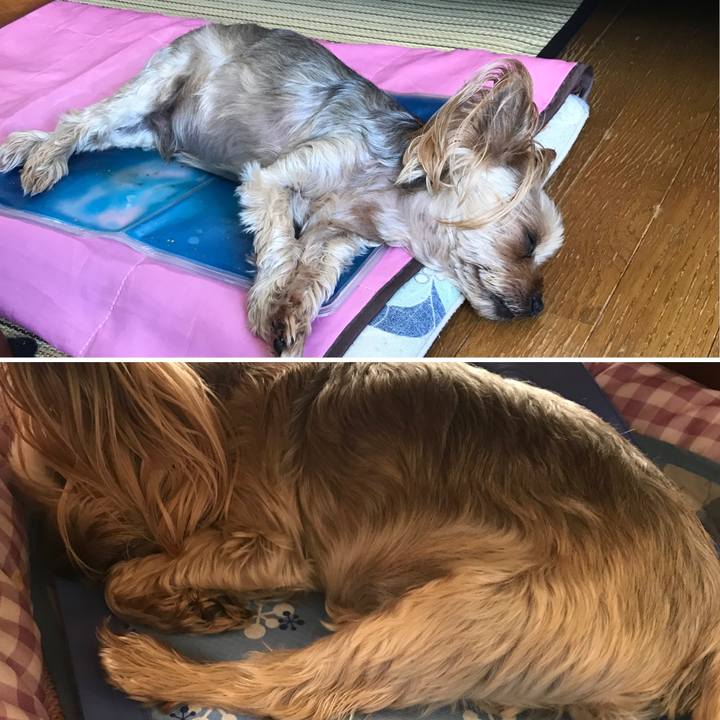 A1158737 3279 446d a533 746bc0ed8382 1627384797315