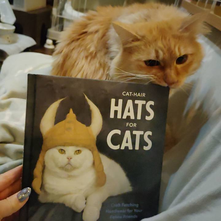 A1158b47 7db0 4814 847e e3e281d9a40a 1671539209602