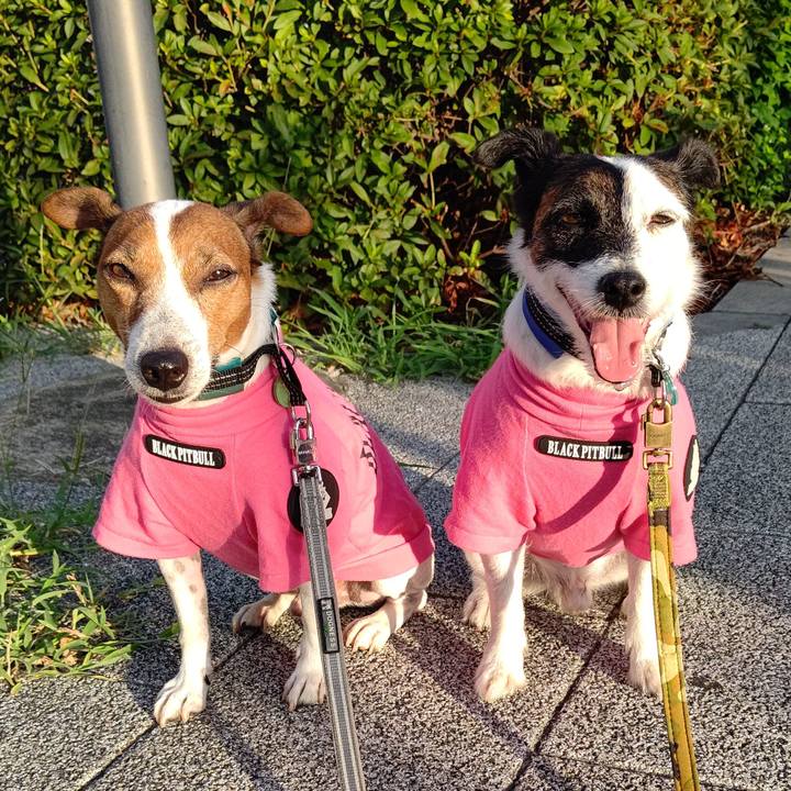 A115b0b5 dd14 4663 8813 2a51cbb3093d 1692566147263