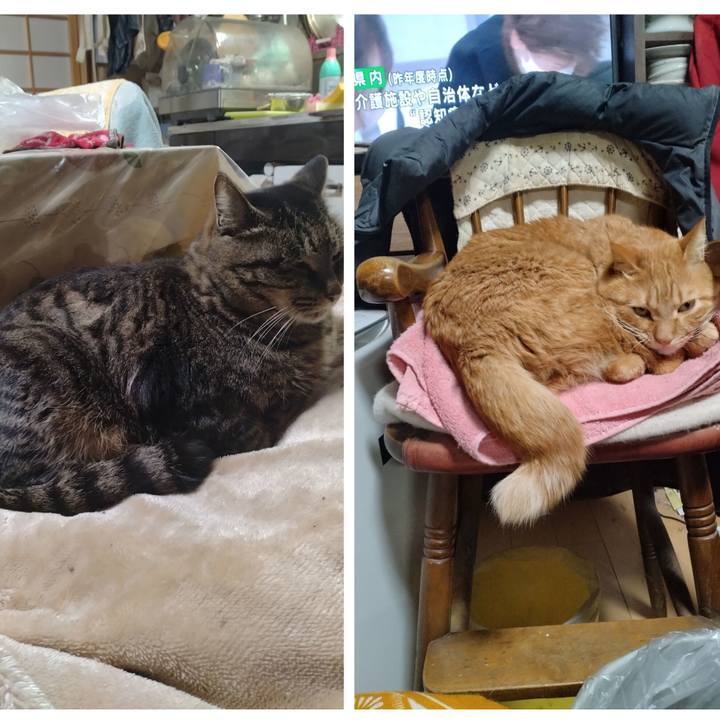 A115f23d 2788 4dcc 9596 59f44fbad0cb 1705656187520