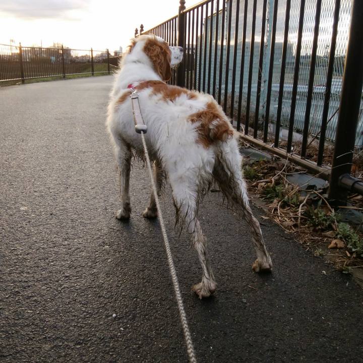 A115f51e b82e 4487 a099 e53ec7015fc8 1551699272219