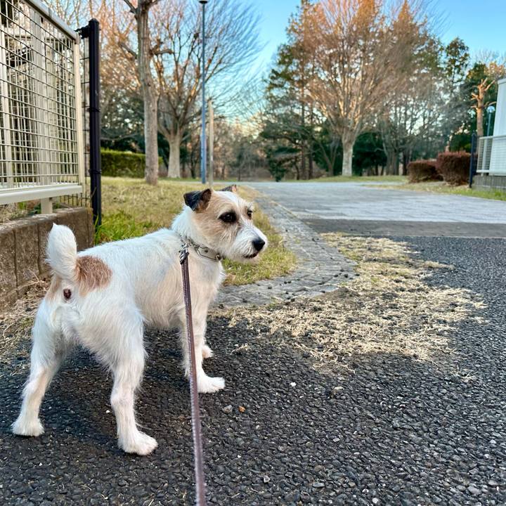 A11645eb 5d08 4de1 8fc4 87d08907fd3e 1739962911246