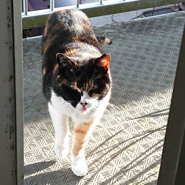 A1166cf7 ad90 472b b74b 298418b56679 1585783319200