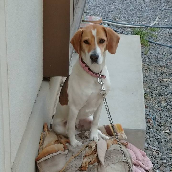 A116795a 7f50 4a7a a5c4 ed2192a376e3 1584773264587