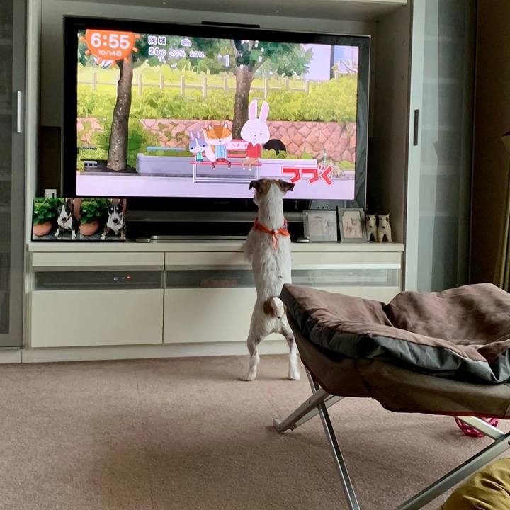 A1168670 8a8b 45d6 90d2 7cc5487298dd 1665705321137