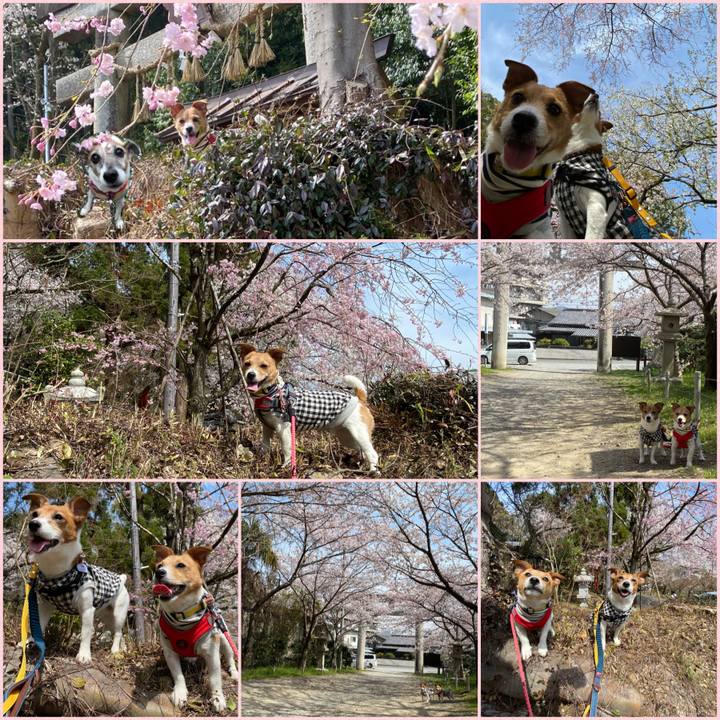 A116be72 456a 476f 96b6 b68d012c4400 1617102533342