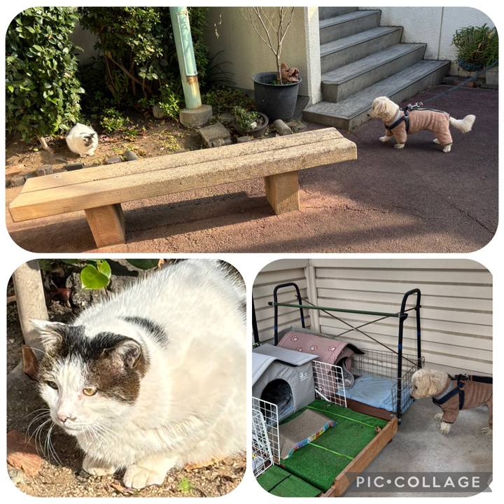 A116ef19 215a 451a b4fe ac007d844b7f 1765944128708