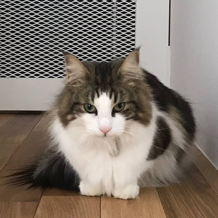 A1172dcd e119 4c09 9e50 c00ece429339 1519284794274