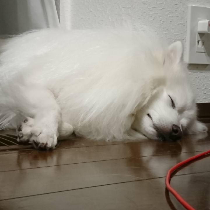 A1173f57 91a7 4603 afd9 2b16abee5176 1606486379840