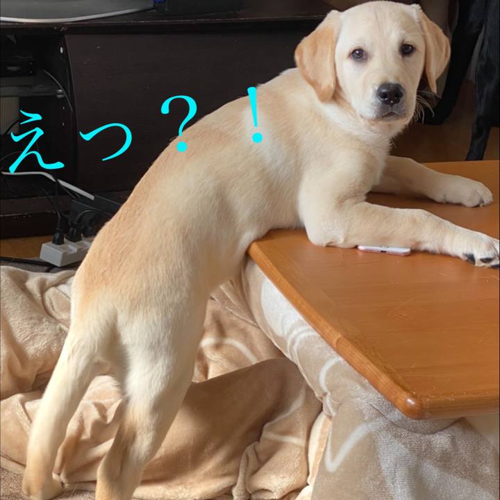 A11745fc d365 487d 8c12 36bd9359c495 1613808722059