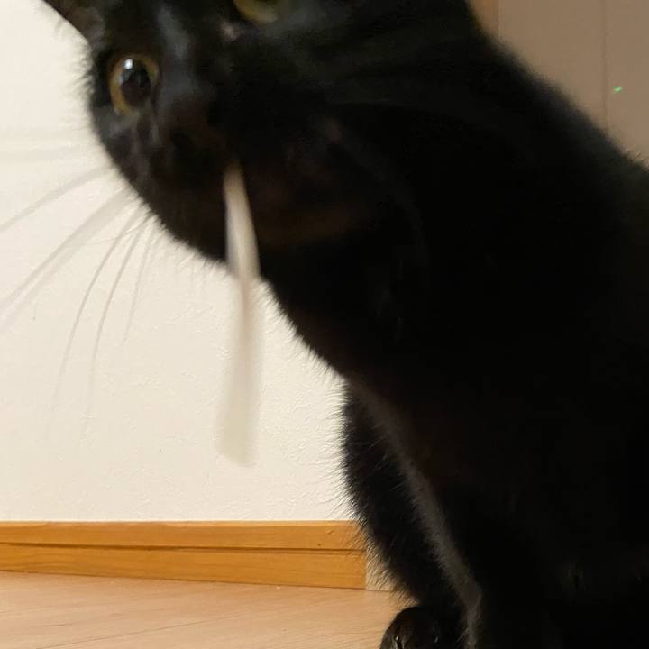 A11771b9 fe13 4547 94c8 d35a5240bf14 1648035670463