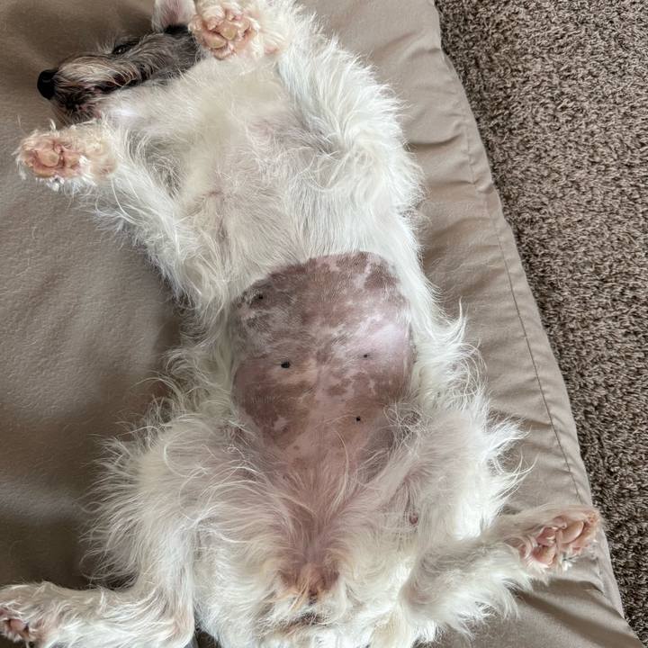 A11772ac 7a2c 4dba ac40 18941acf0f22 1756987065242