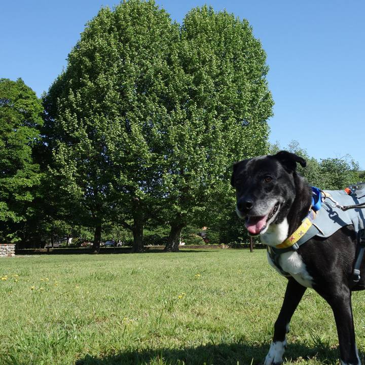 A11792b8 b643 4a74 bdb6 4c66cdad9468 1746232544337