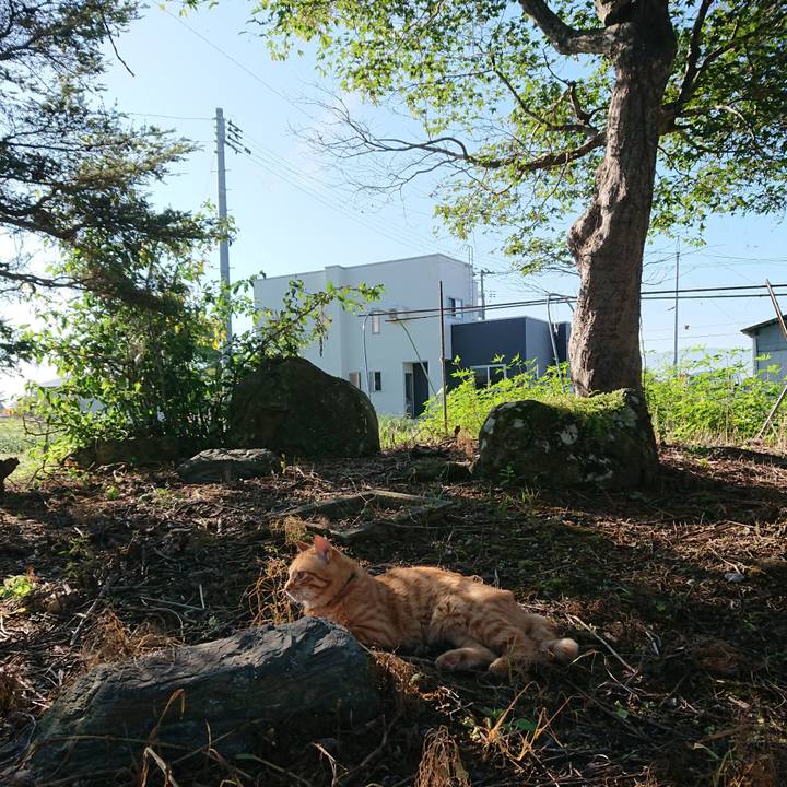 A1179624 af3a 4328 b0ac 2636d9103d3f 1662420464325