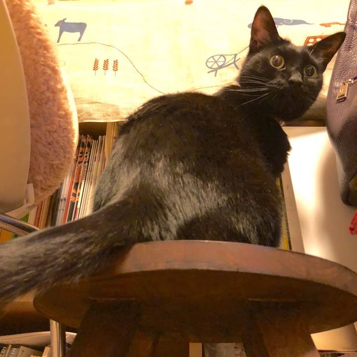 A117f29d 886c 4f10 bc02 4dcf3aca8c82 1523627213314