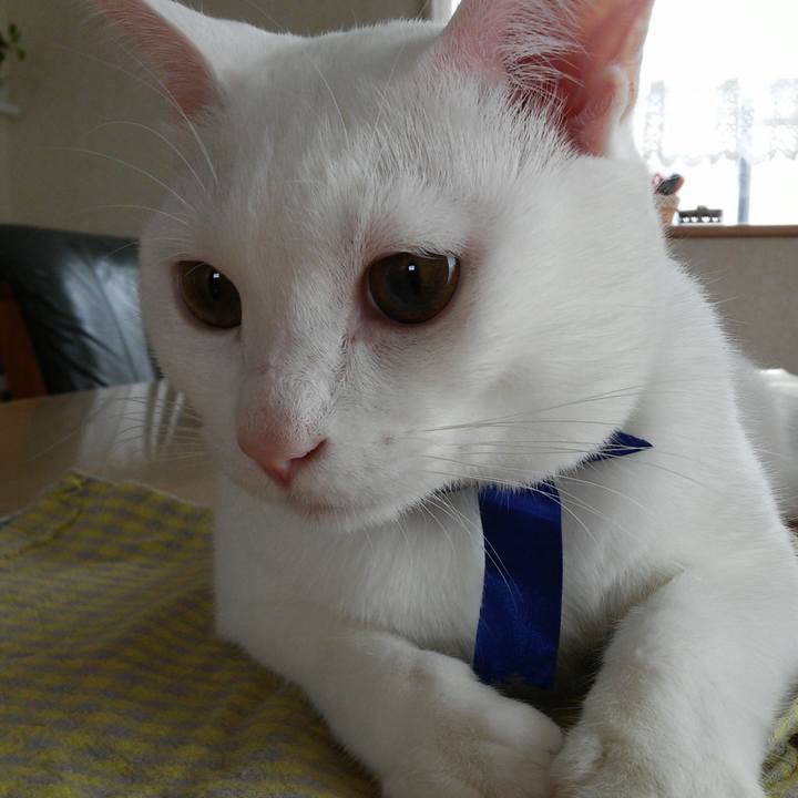 A1183239 abe8 4666 ae8a e8c1b264b5fb 1509324889371