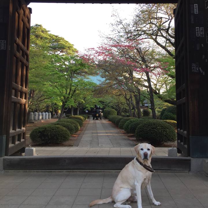 A11832fa 77ac 4f67 8aed ef18ffd533d7 1523141130243