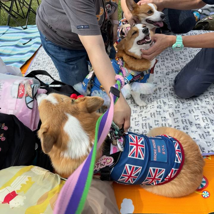 A1186aaa 9560 4706 9f2c a6bb1d7443e1 1760271144833